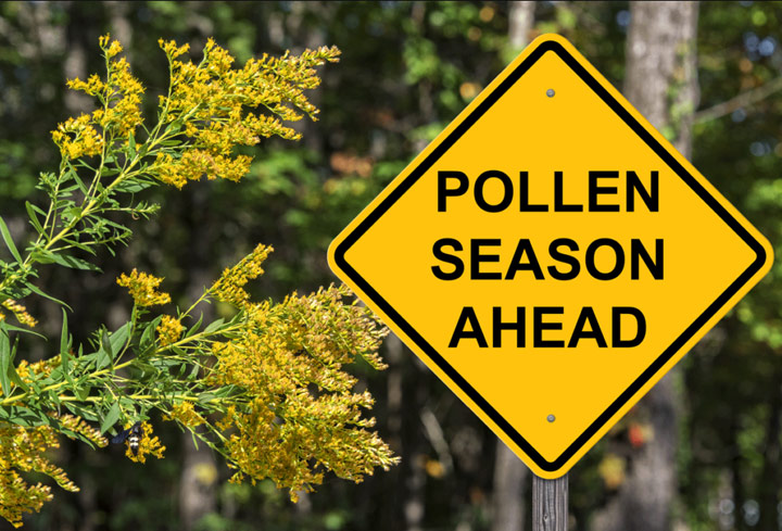 Sign of Pollen Season Ahead